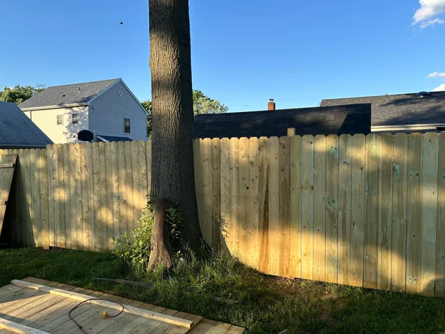 Exemple typique d'un arbre planté trop près d'une clôture privative. Ce type de situation peut engendrer des conflits de voisinage, des dégradations de clôture, ou un stress racinaire pour l'arbre. Une expertise peut permettre d'évaluer les risques et de proposer une taille adaptée dans le respect de la réglementation (articles 671 et 672 du Code civil).