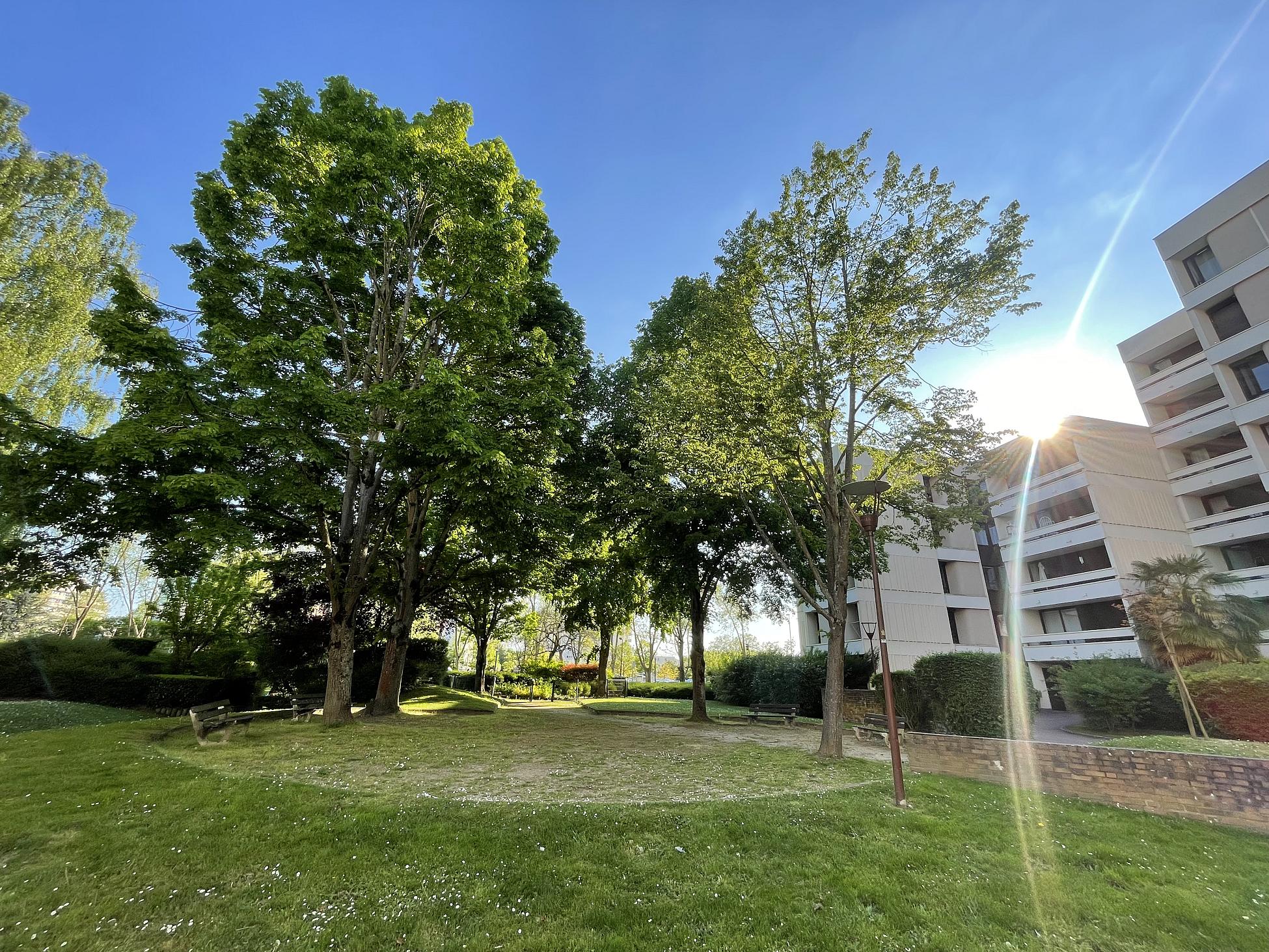Espace vert collectif arboré en copropriété illustrant la gestion et l'entretien du patrimoine végétal